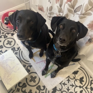 Fundraising Page: Mallory Sleasman